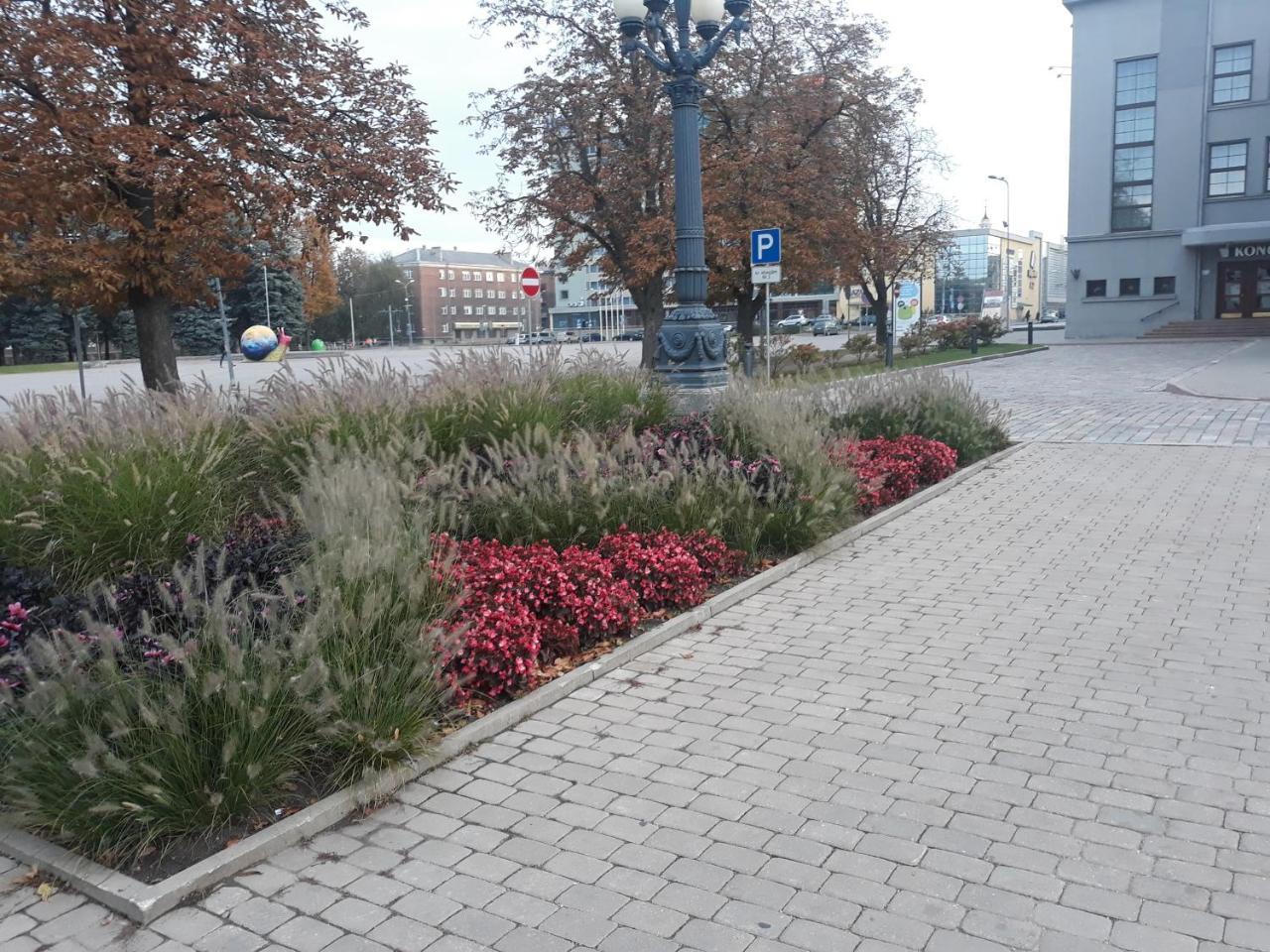 Town Center Studio Apartment Daugavpils Kültér fotó